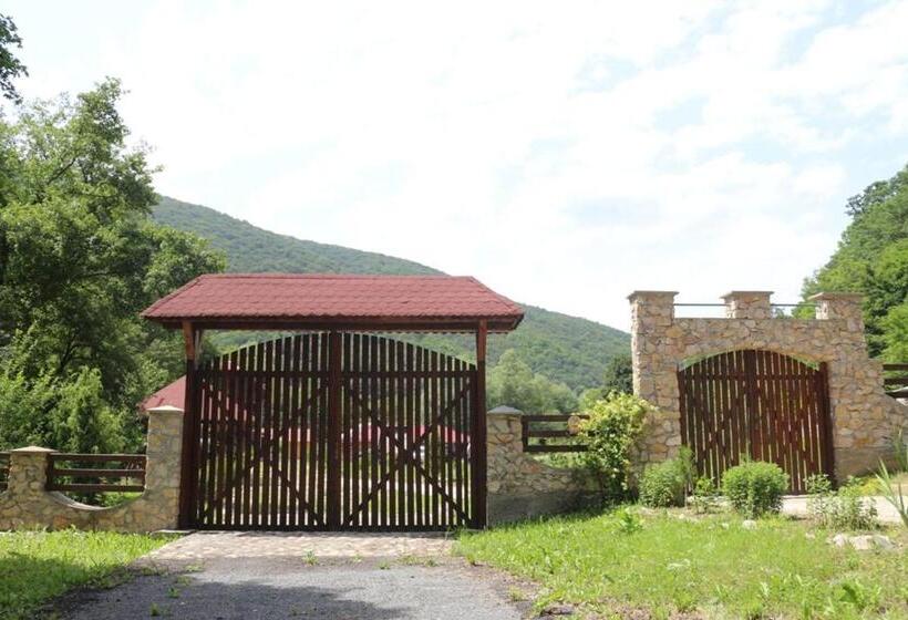 Pensiunea La Busu  Bigar