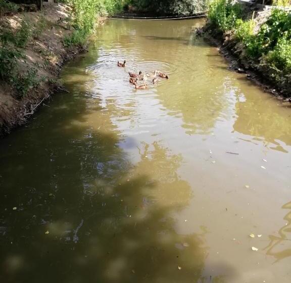 Pensiunea La Busu  Bigar