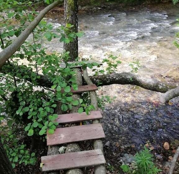 Pensiunea La Busu  Bigar