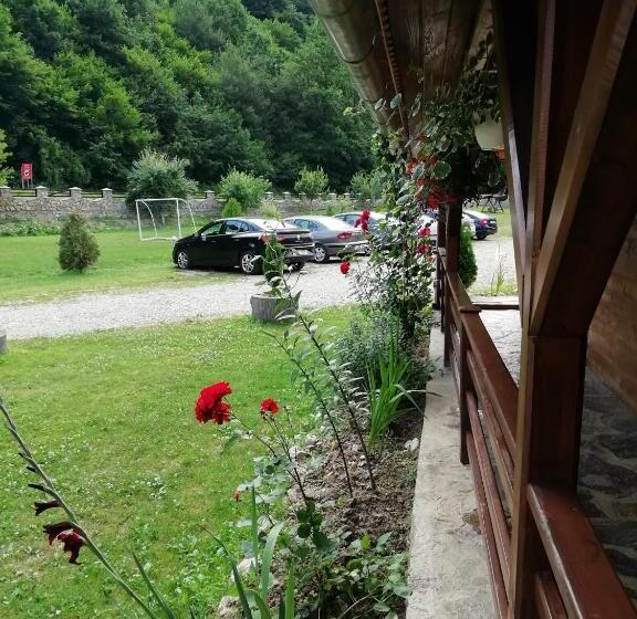 Pensiunea La Busu  Bigar