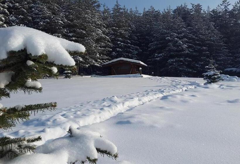 リゾートホテル Forest Houses,форест хаусис