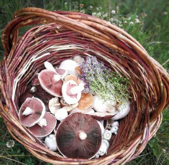 リゾートホテル Forest Houses,форест хаусис