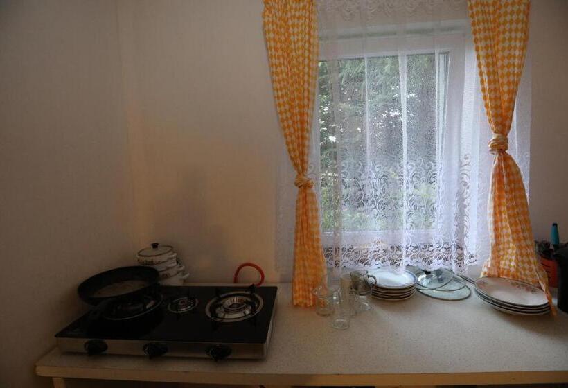 Schronisko Młodzieżowe W Jabłonkach