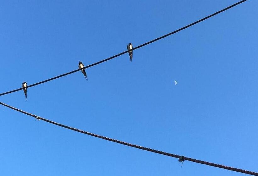 B&b Pipowagen Het Wellnesst Op Wellness Camping En B&b Stoltenborg