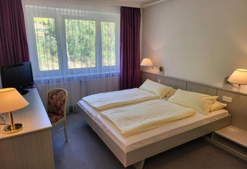 Werrapark Aktiv Hotel Am Sommerberg