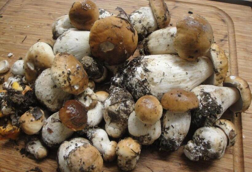 צימר Chambres D Hôtes Pom Paille