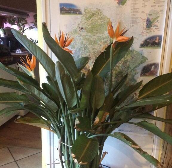 צימר Chambres D Hôtes Pom Paille