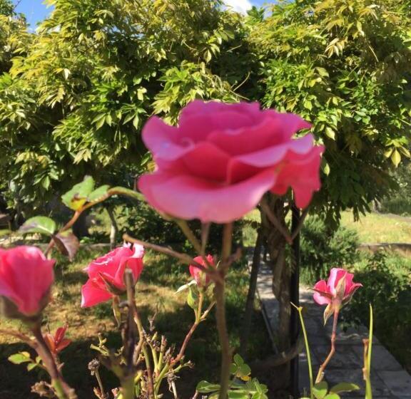 צימר Villa Enea Monopoli