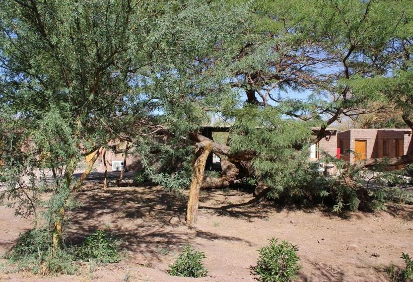 בית מלון כפרי Casa Don Esteban