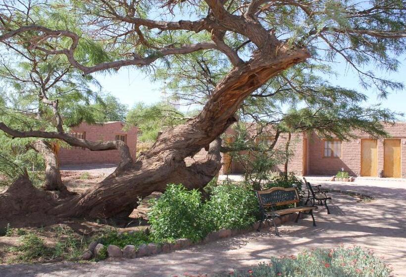 בית מלון כפרי Casa Don Esteban