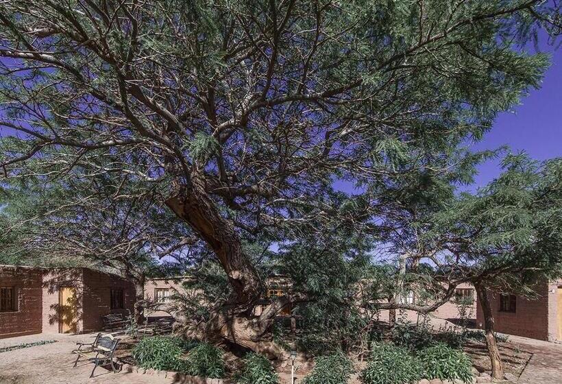 בית מלון כפרי Casa Don Esteban