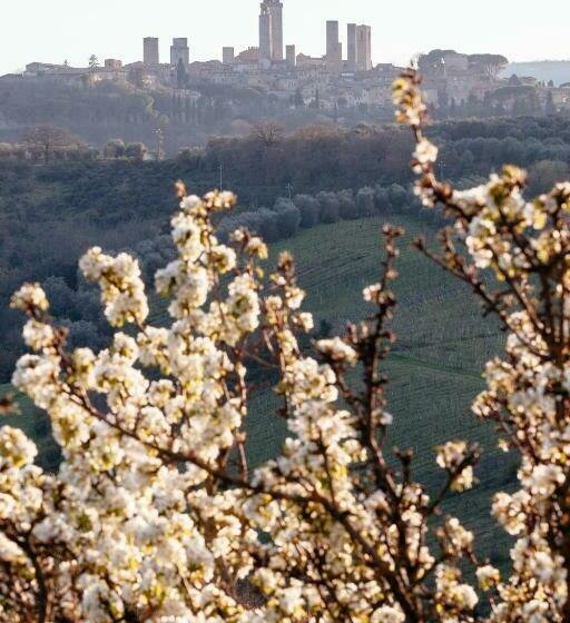 فندق Podere La Lucciolaia