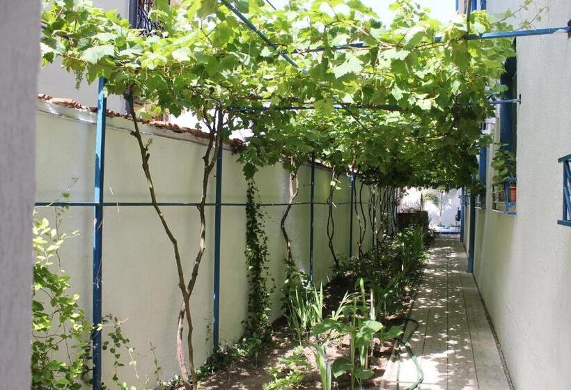 בית מלון כפרי Vila Alex