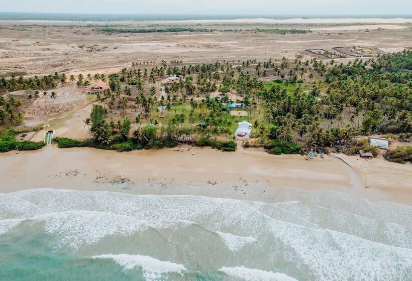 Отель Villa Baleia