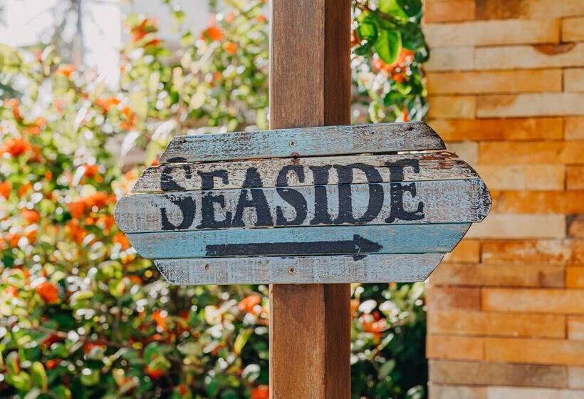 Отель Villa Baleia