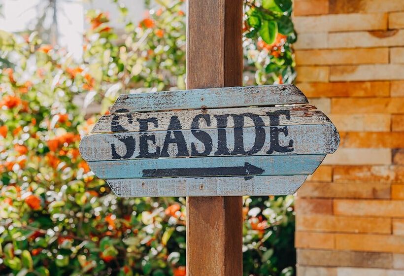 Отель Villa Baleia