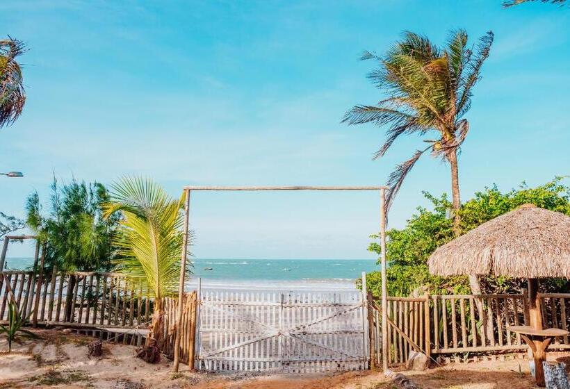 Отель Villa Baleia