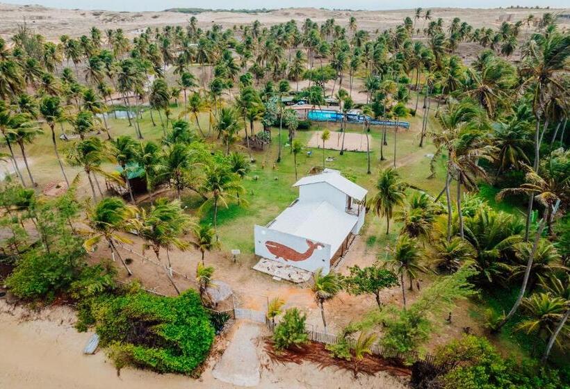 Отель Villa Baleia