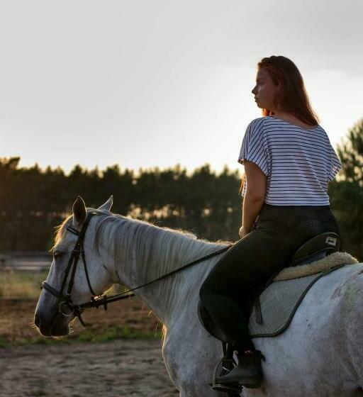 호텔 White Pony Agroturystyka I Stajnia
