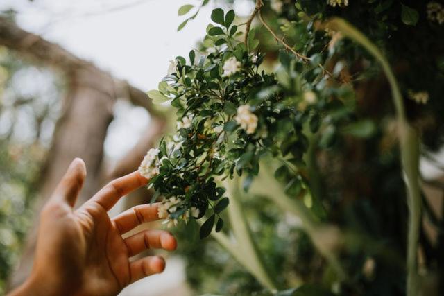 호텔 Xiknal Cozumel