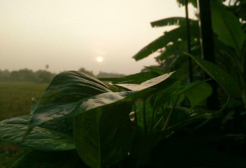 Pension ต้งโฮมหละปูน ณ ตูบคำ