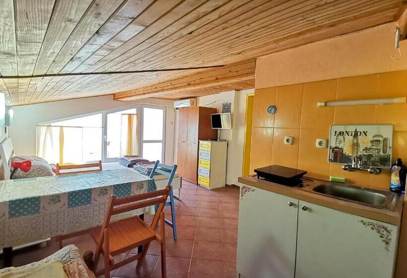 بنسيون вила фани синеморец