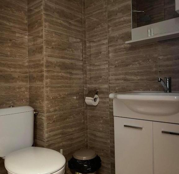 膳宿费 бялата къща