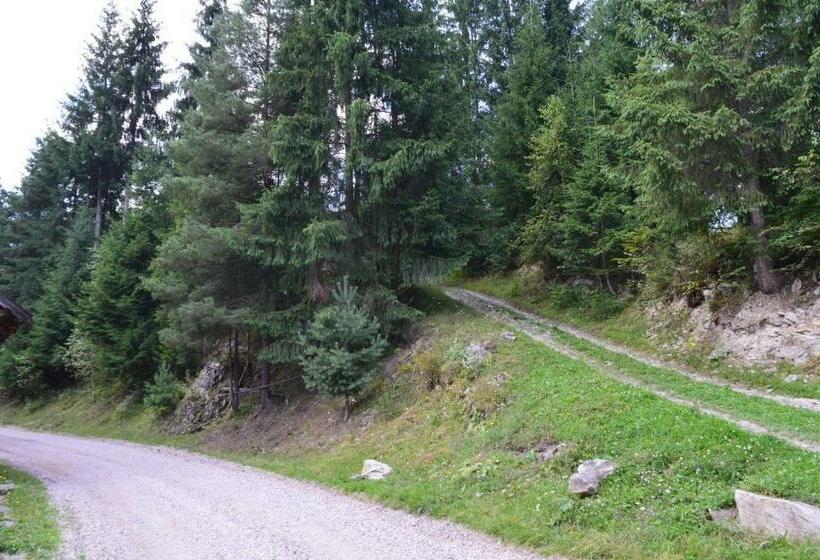 膳宿费 Cabana Dintre Brazi