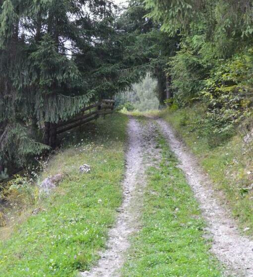 膳宿费 Cabana Dintre Brazi