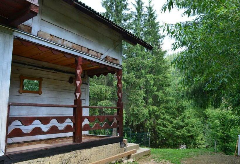 פנסיון Cabana Dintre Brazi