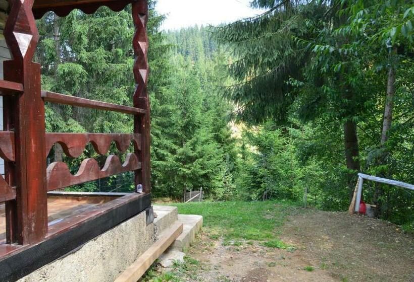 膳宿费 Cabana Dintre Brazi