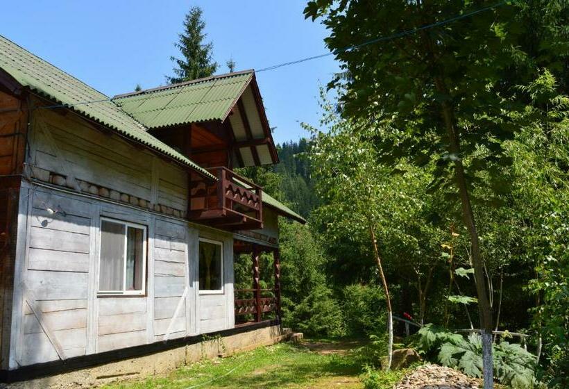 膳宿费 Cabana Dintre Brazi