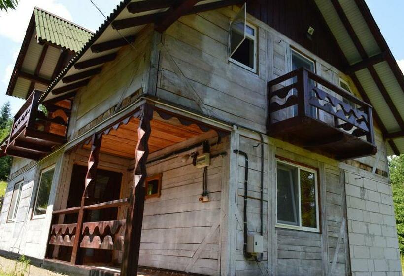 膳宿费 Cabana Dintre Brazi