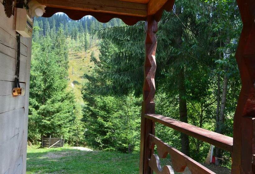 膳宿费 Cabana Dintre Brazi