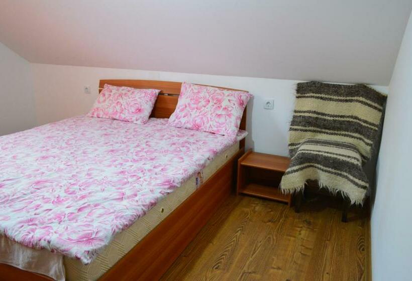 膳宿费 Cabana Dintre Brazi