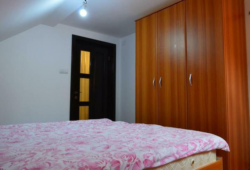 膳宿费 Cabana Dintre Brazi