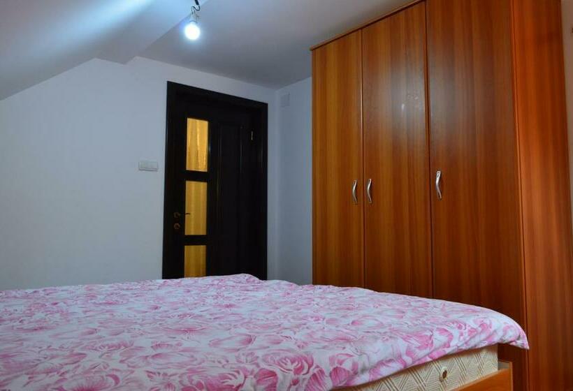 膳宿费 Cabana Dintre Brazi