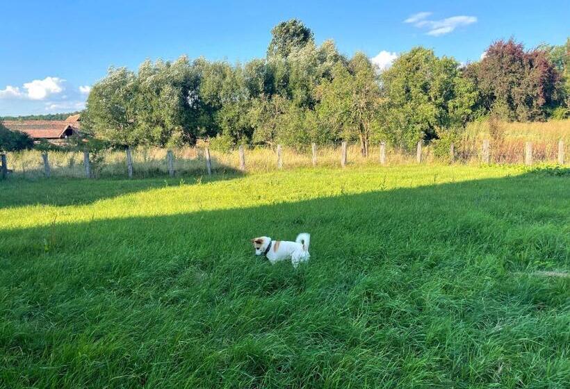 Пансион Chalet Giuel