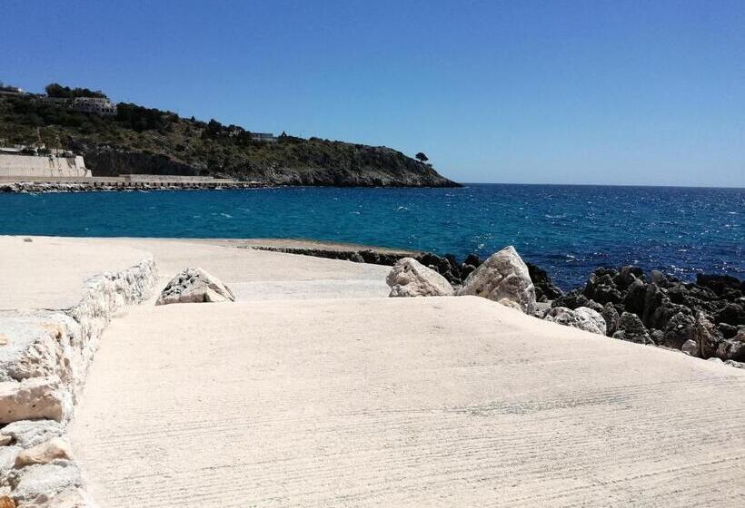 بنسيون El Paso