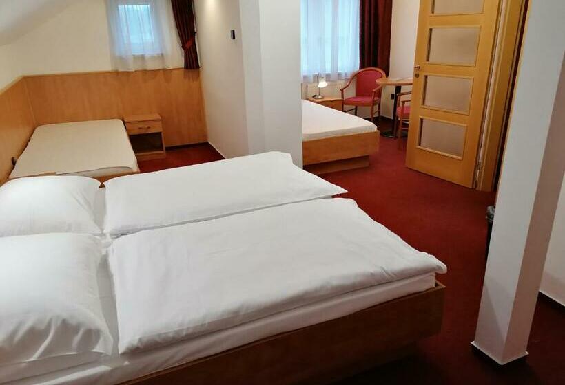 膳宿费 Penzion Pohoda, Nepřístupné V Pracovním Oděvu