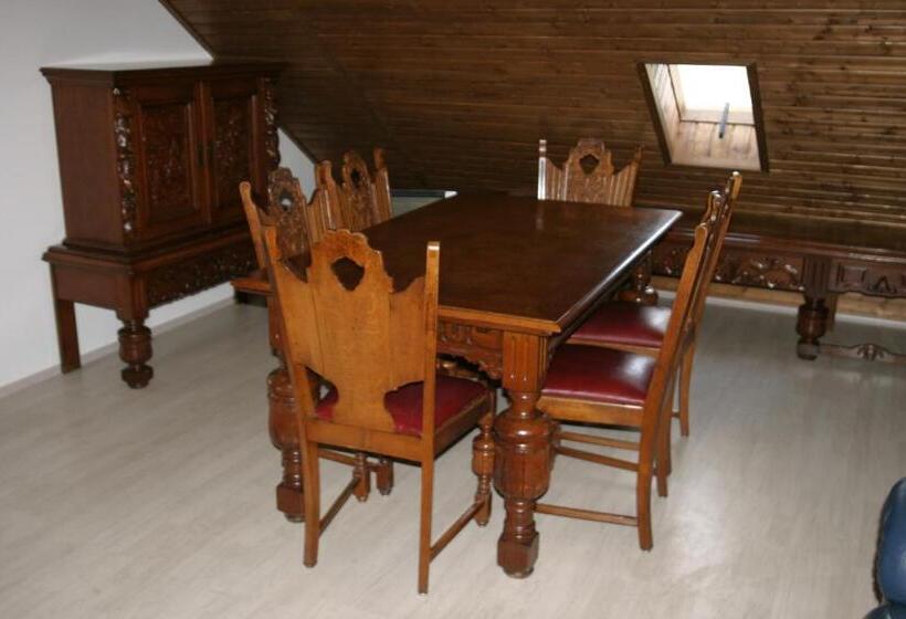 بنسيون Villa Teleki