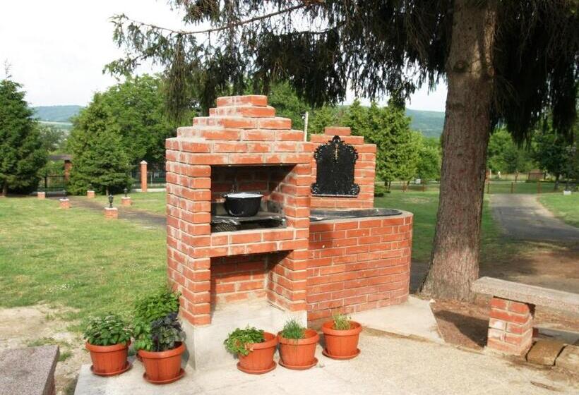 بنسيون Villa Teleki