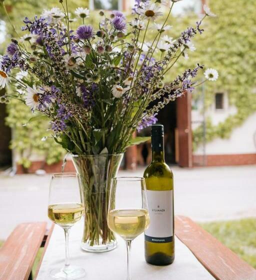 بنسيون Vinný Sklep André