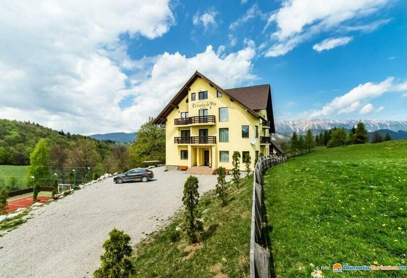 Pension Creasta De Vis