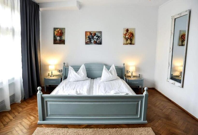 Pensiunea Vila Silva Ii