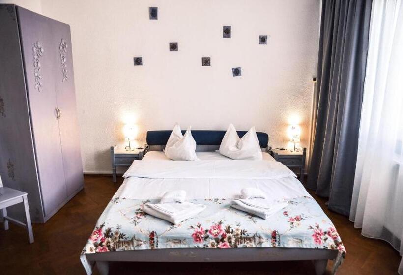 Pensiunea Vila Silva Ii