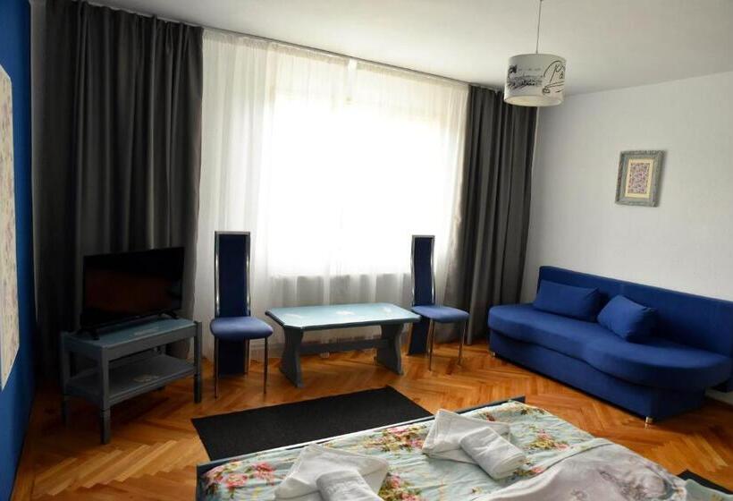 Pensiunea Vila Silva Ii