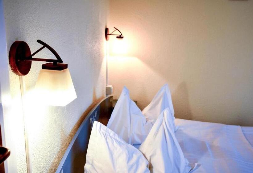 Pensiunea Vila Silva Ii