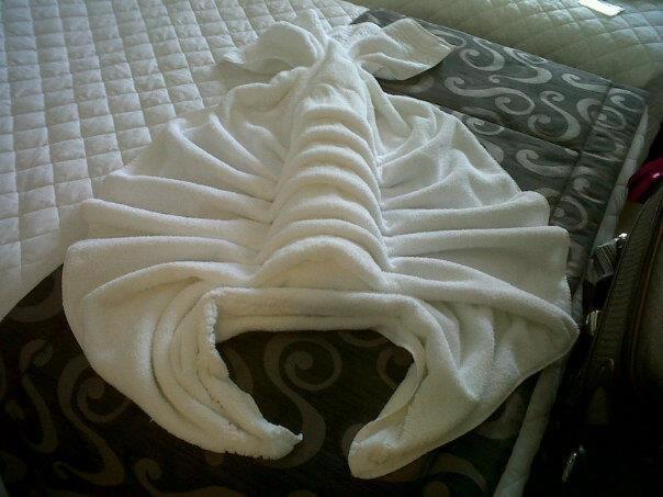 هاستل Vila Pura Vida