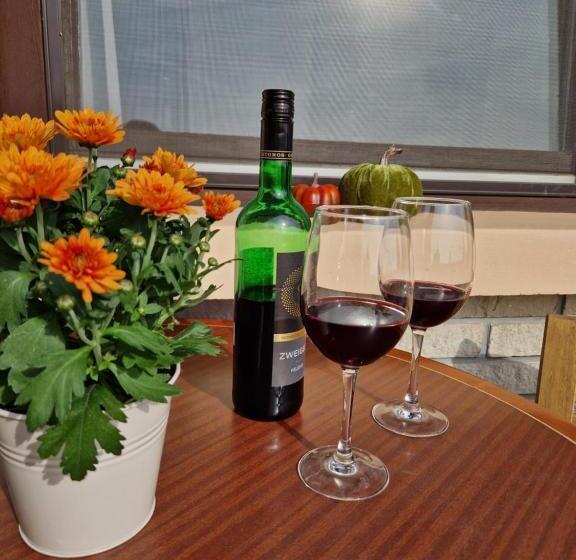 ベッドアンドブレックファースト Balaton Panzió Füred